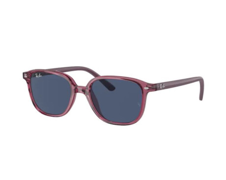100124-Lunettes de Soleil Ray-Ban RJ9093S