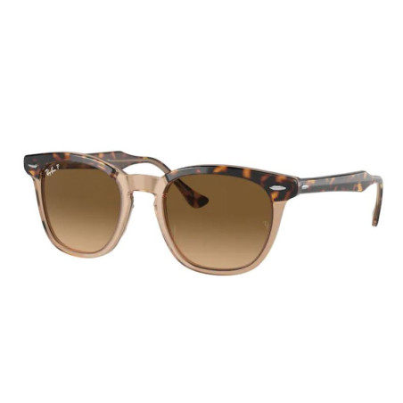 Zonnebril Ray-Ban RB2298