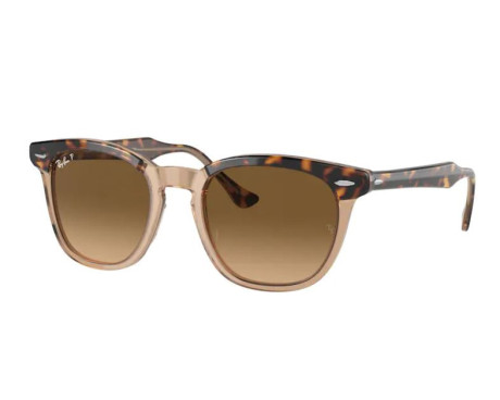 100164-Zonnebril Ray-Ban RB2298