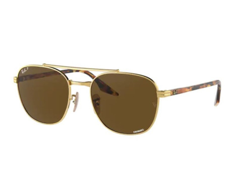 100199-Zonnebril Ray-Ban RB3688