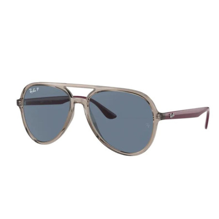 Lunettes de Soleil Ray-Ban RB4376