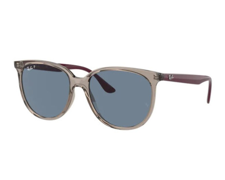100247-Zonnebril Ray-Ban RB4378