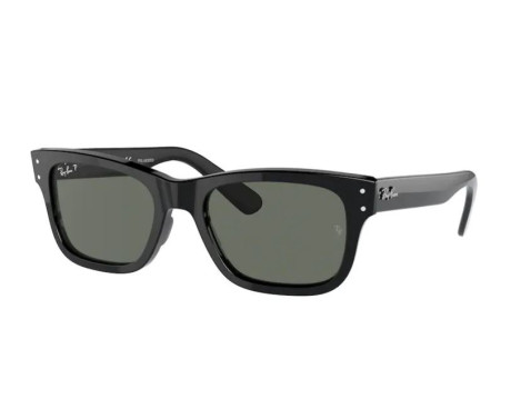 100266-Zonnebril Ray-Ban RB2283
