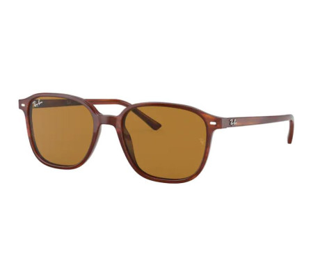 100306-Zonnebril Ray-Ban RB2193