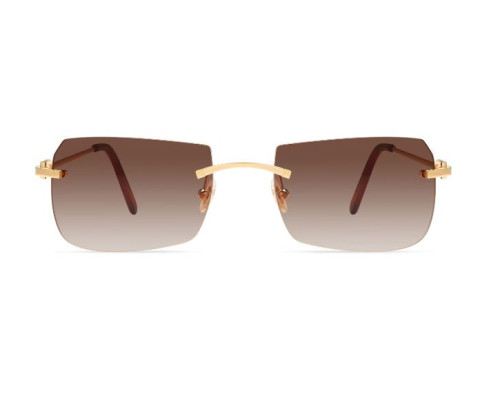 lunettes Cartier - Lunettes Cartier hommes - lunettes Cartier de soleil