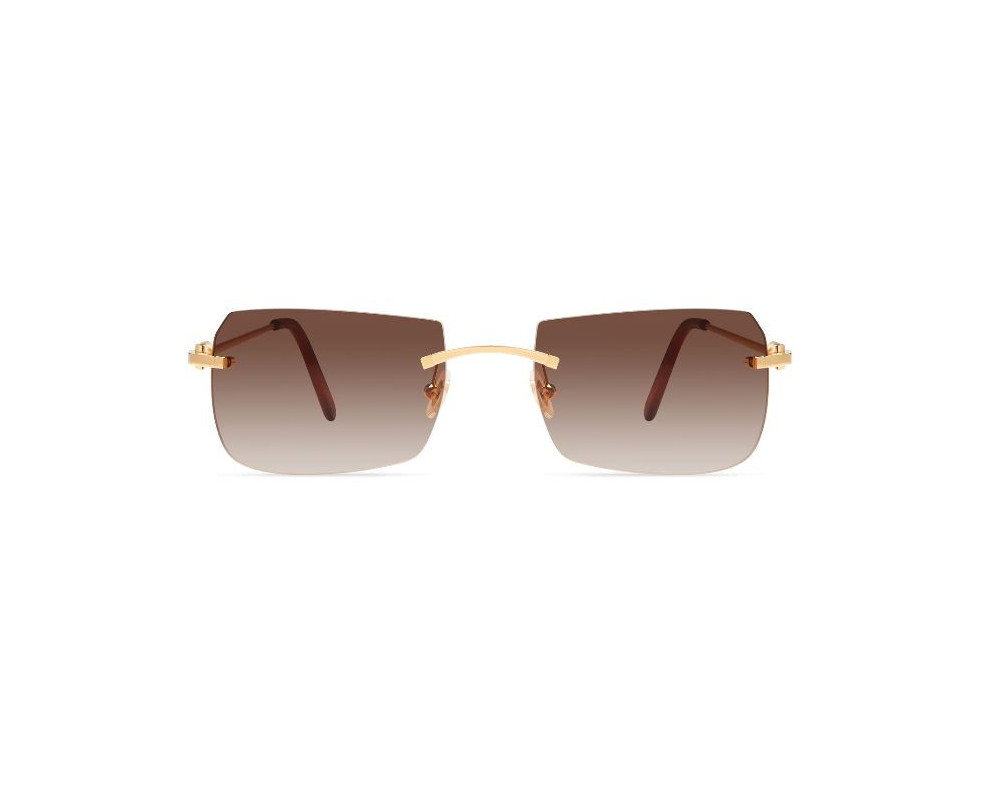 lunettes Cartier - Lunettes Cartier hommes - lunettes Cartier de soleil