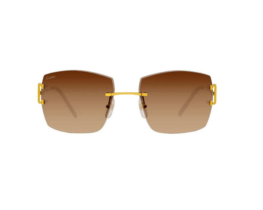 lunettes Cartier - lunettes Cartier Piccadilly - Lunettes Cartier rectangle
