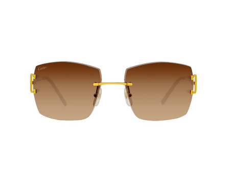 102359-lunettes Cartier - lunettes Cartier Piccadilly - Lunettes Cartier rectangle