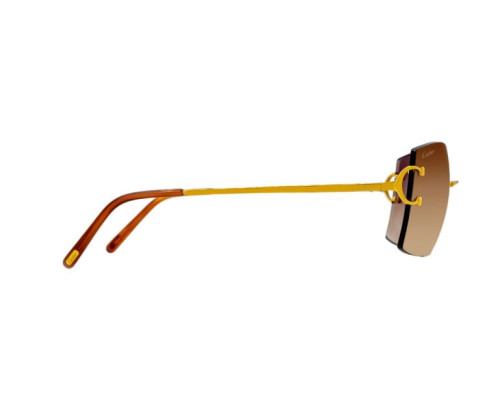 lunettes Cartier - lunettes Cartier Piccadilly - lunettes Cartier rechthoek
