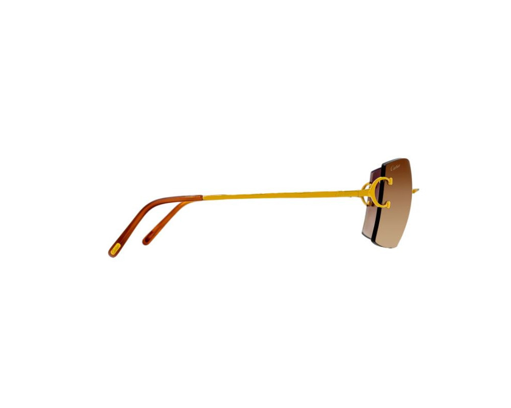 lunettes Cartier - lunettes Cartier Piccadilly - lunettes Cartier rechthoek