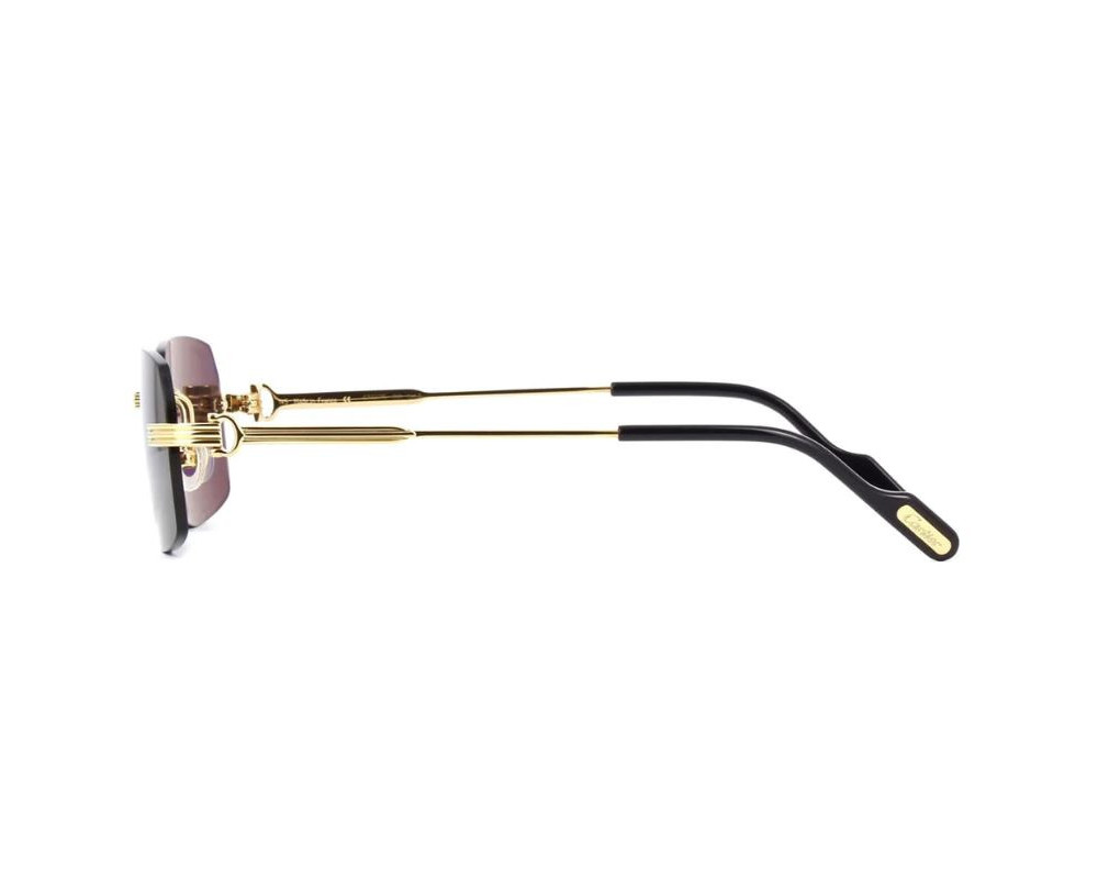 Lunettes de Soleil Cartier Première CT0271S