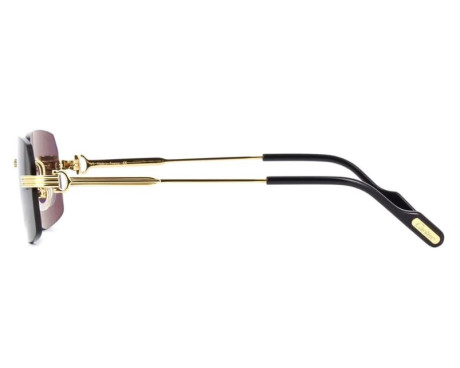 102386-Lunettes de Soleil Cartier Première CT0271S