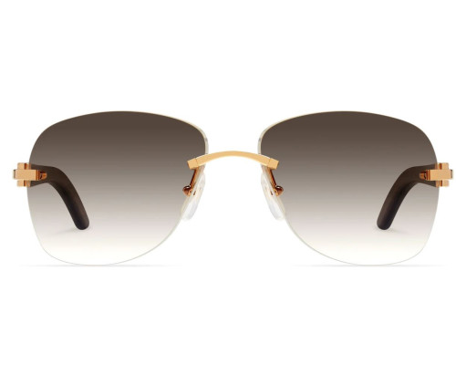 Lunettes de soleil Cartier Décor C CT0014RS