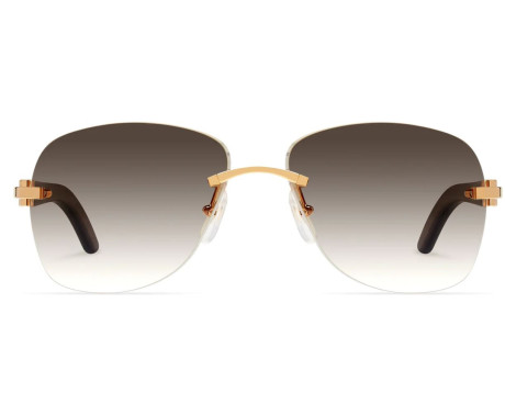 102416-Lunettes de soleil Cartier Décor C CT0014RS