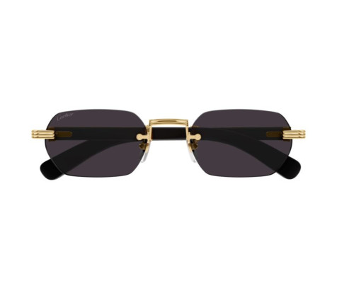 lunettes Cartier - lunettes Cartier de soleil - lunettes Cartier homme