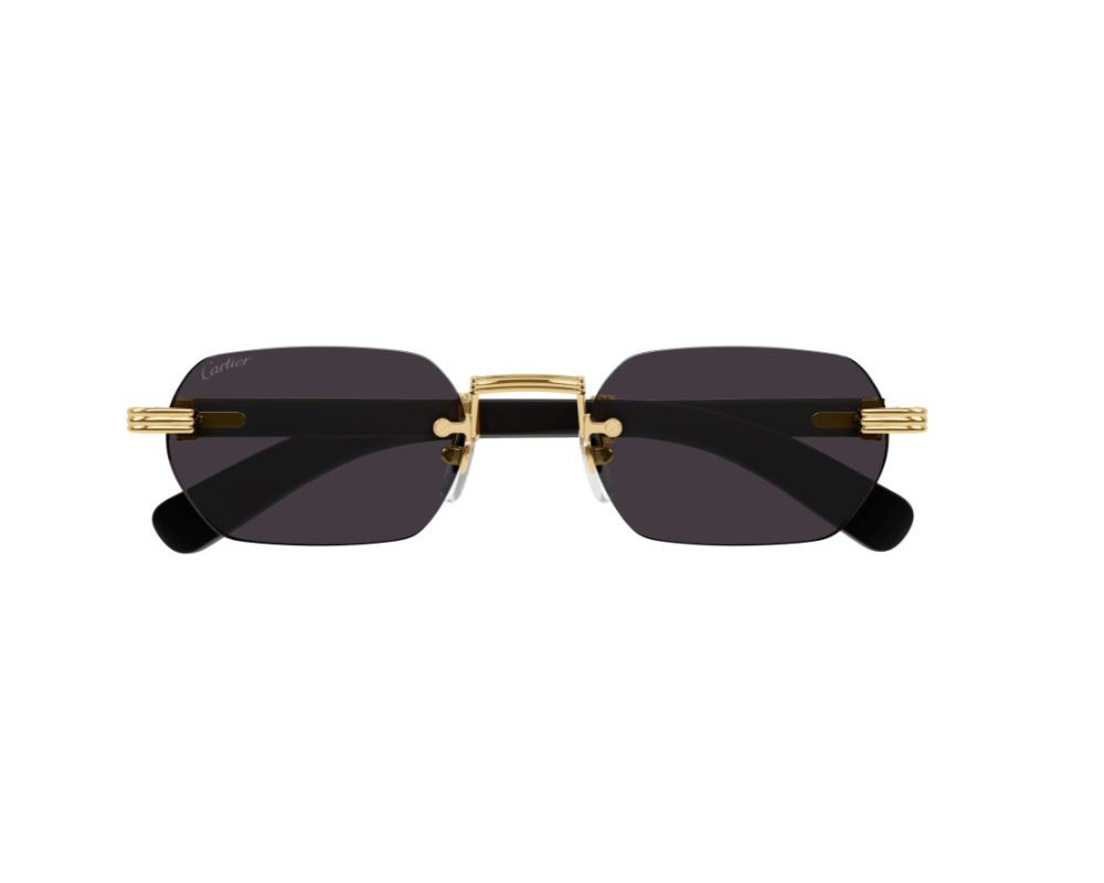 lunettes Cartier - lunettes Cartier de soleil - lunettes Cartier homme