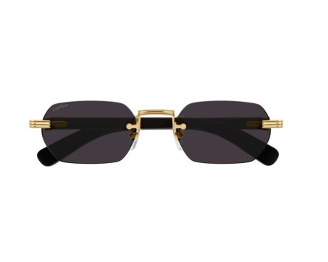 103127-lunettes Cartier - lunettes Cartier de soleil - lunettes Cartier homme