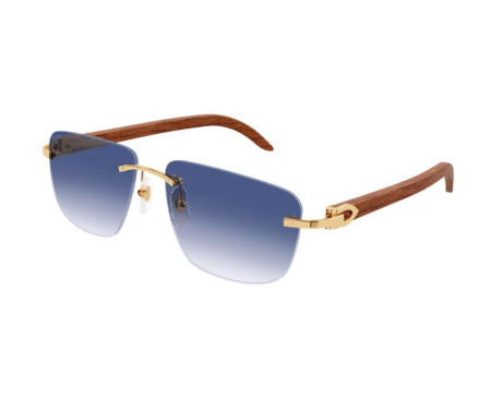 103188-lunettes Cartier - lunettes Cartier de soleil - lunettes Cartier bleu