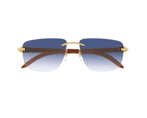 lunettes Cartier - lunettes Cartier de soleil - lunettes Cartier bleu