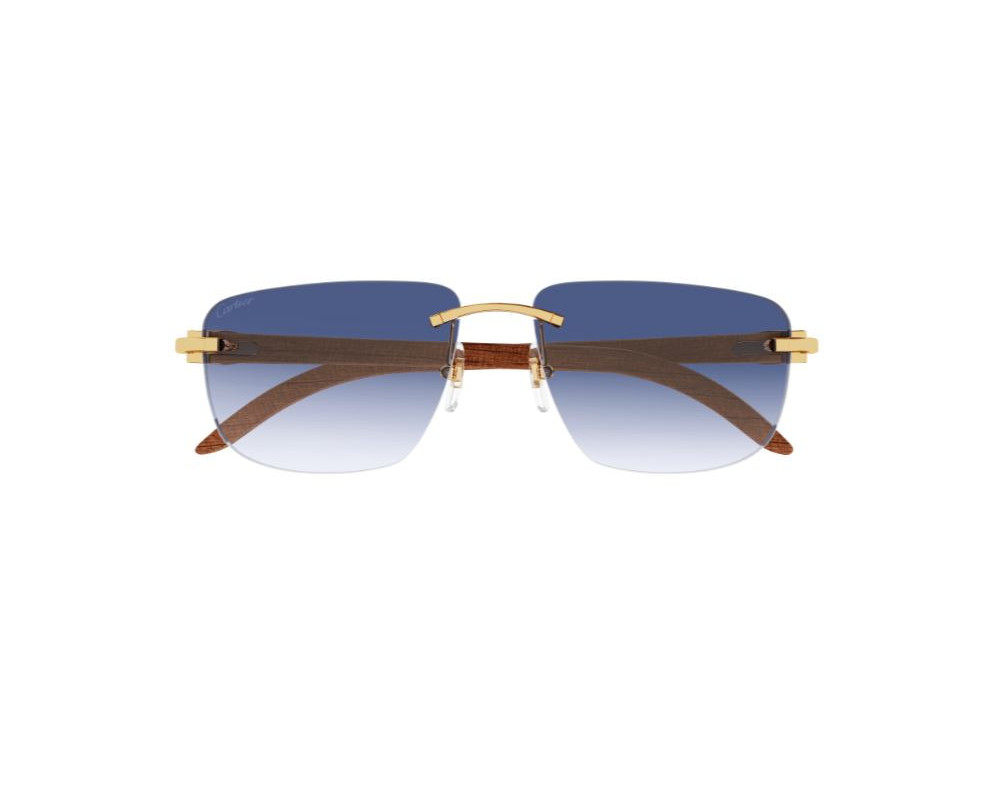 lunettes Cartier - lunettes Cartier de soleil - lunettes Cartier bleu