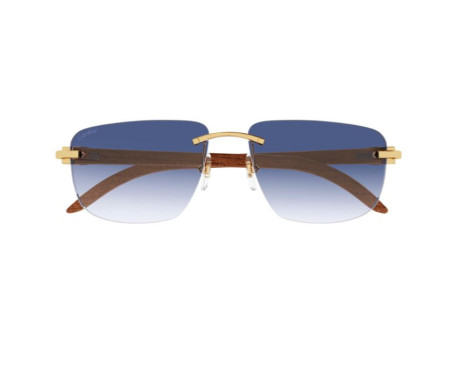 103189-lunettes Cartier - lunettes Cartier de soleil - lunettes Cartier bleu