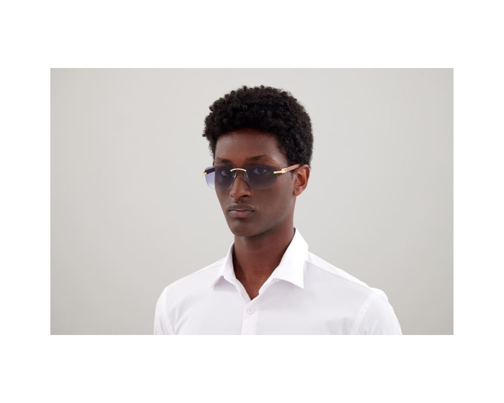 lunettes Cartier - lunettes Cartier de soleil - lunettes Cartier bleu