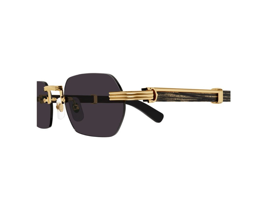 lunettes Cartier - lunettes Cartier de soleil - lunettes Cartier homme