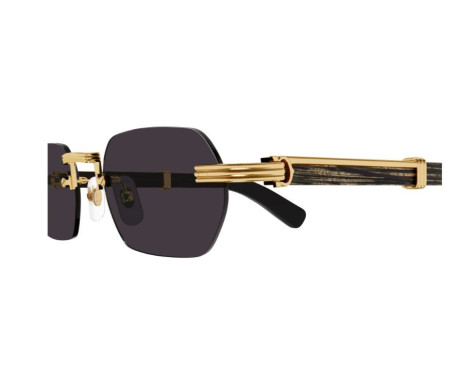 103728-lunettes Cartier - lunettes Cartier de soleil - lunettes Cartier homme
