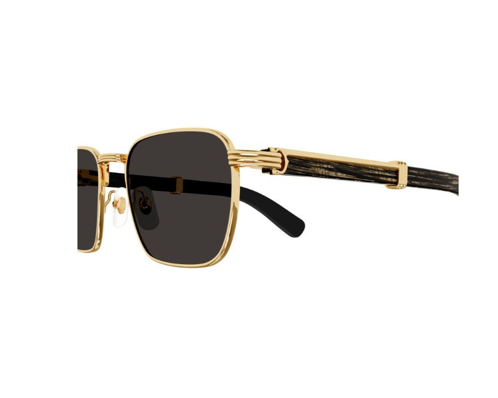 Lunettes de Soleil Cartier Première de Cartier CT0363S