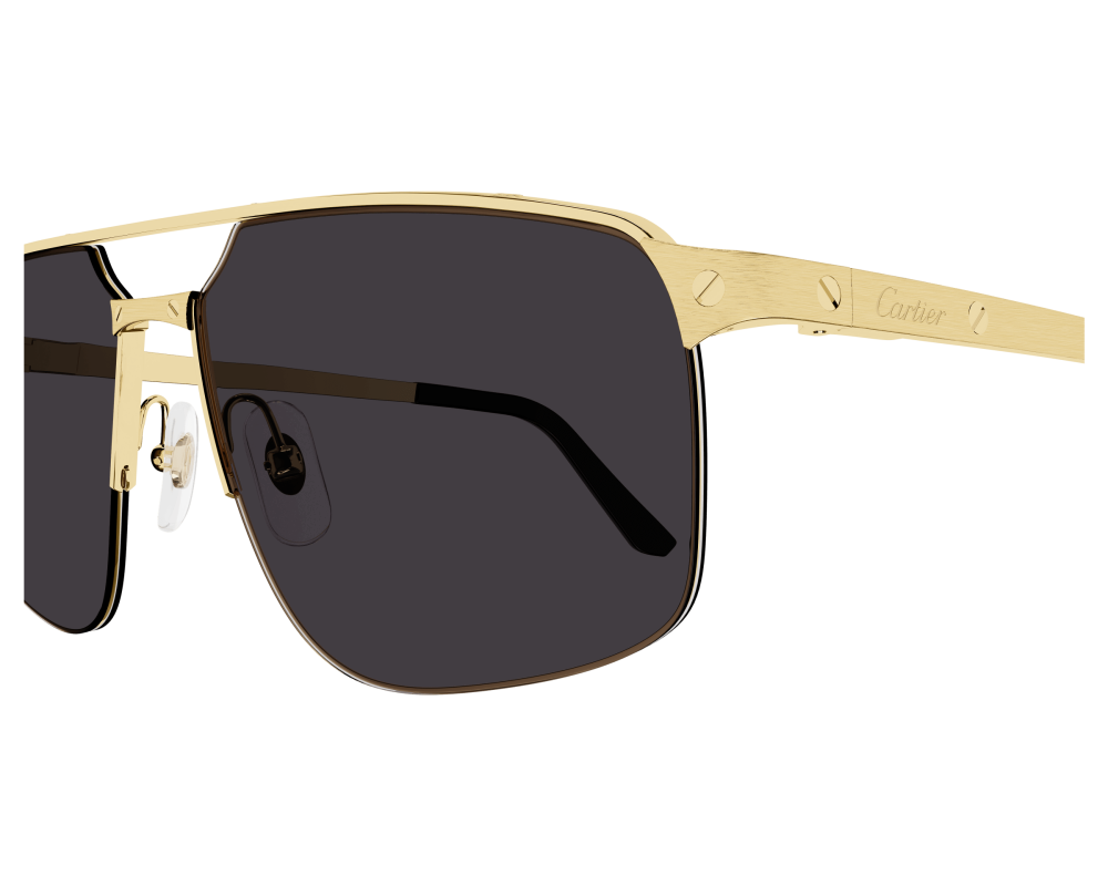lunettes Cartier - lunettes Cartier de soleil - lunettes Cartier hommes