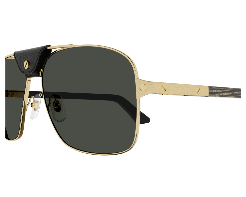 Lunettes Cartier - Lunettes Cartier Corne - Lunettes Cartier bois