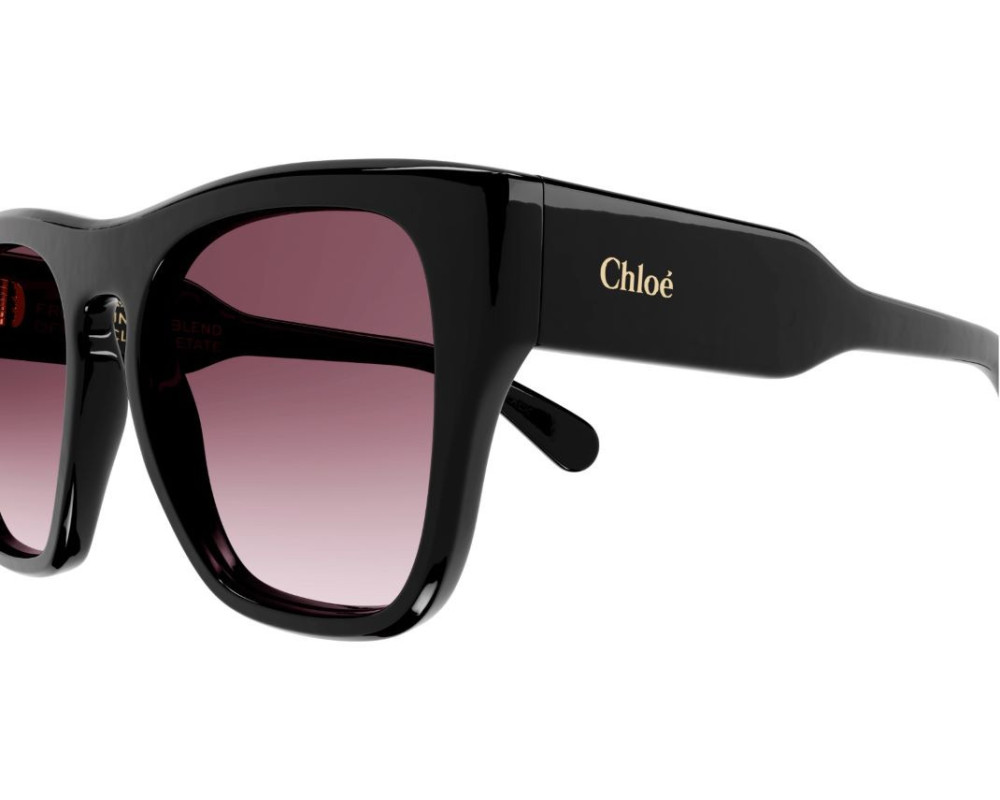 Lunettes de soleil Chloé Gayia CH0149S