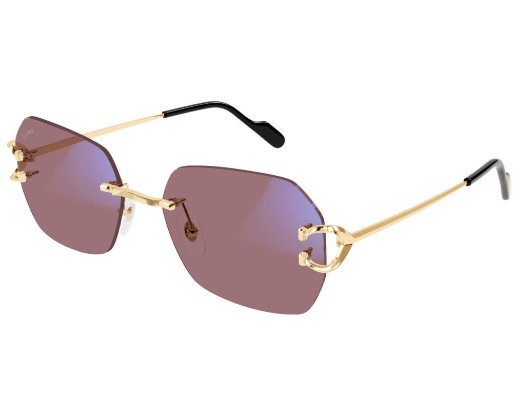Cartier Piccadilly CT0416S Zonnebril - Fototrope glazen