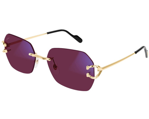 Lunettes de Soleil Cartier Piccadilly CT0416S – Verres Photochromiques