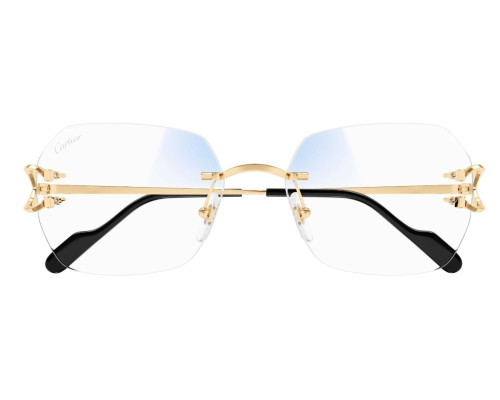 Cartier Piccadilly CT0416S Zonnebril - Fototrope glazen
