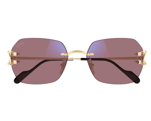 Lunettes de Soleil Cartier Piccadilly CT0416S – Verres Photochromiques