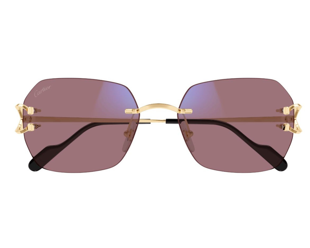 Lunettes de Soleil Cartier Piccadilly CT0416S – Verres Photochromiques