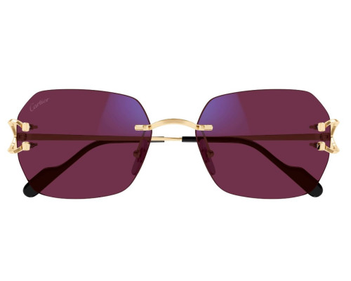 Cartier Piccadilly CT0416S Zonnebril - Fototrope glazen