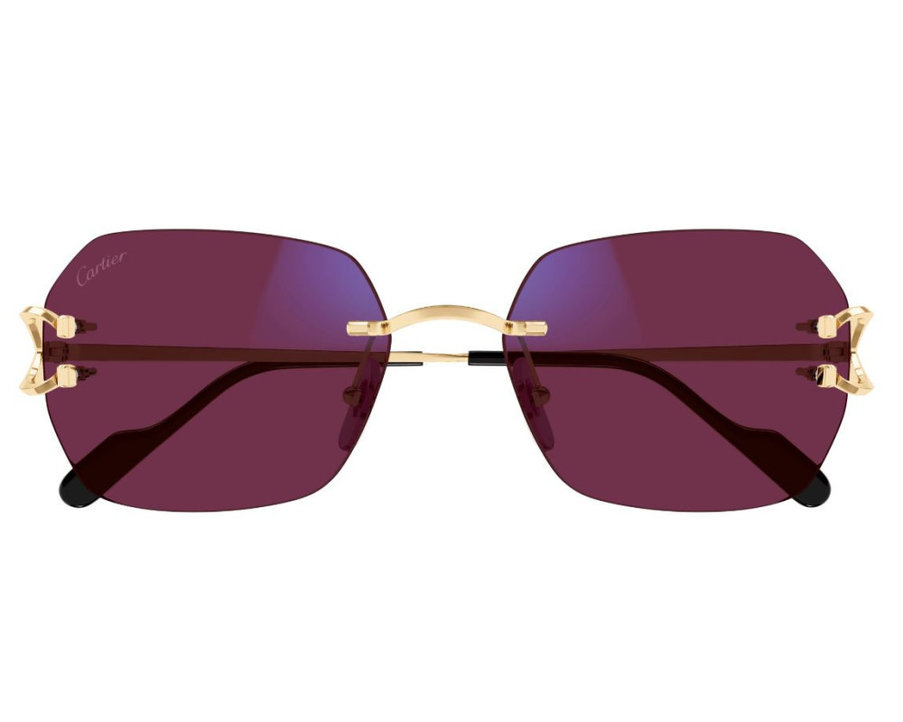 Cartier Piccadilly CT0416S Zonnebril - Fototrope glazen