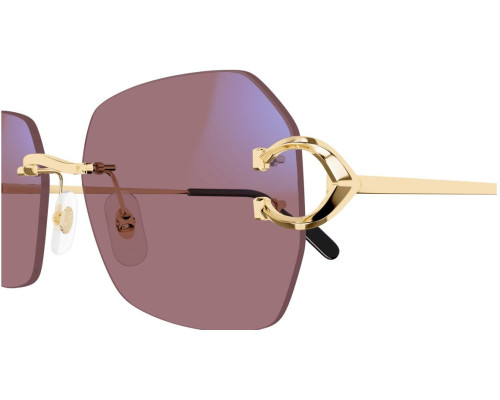 Cartier Piccadilly CT0416S Zonnebril - Fototrope glazen