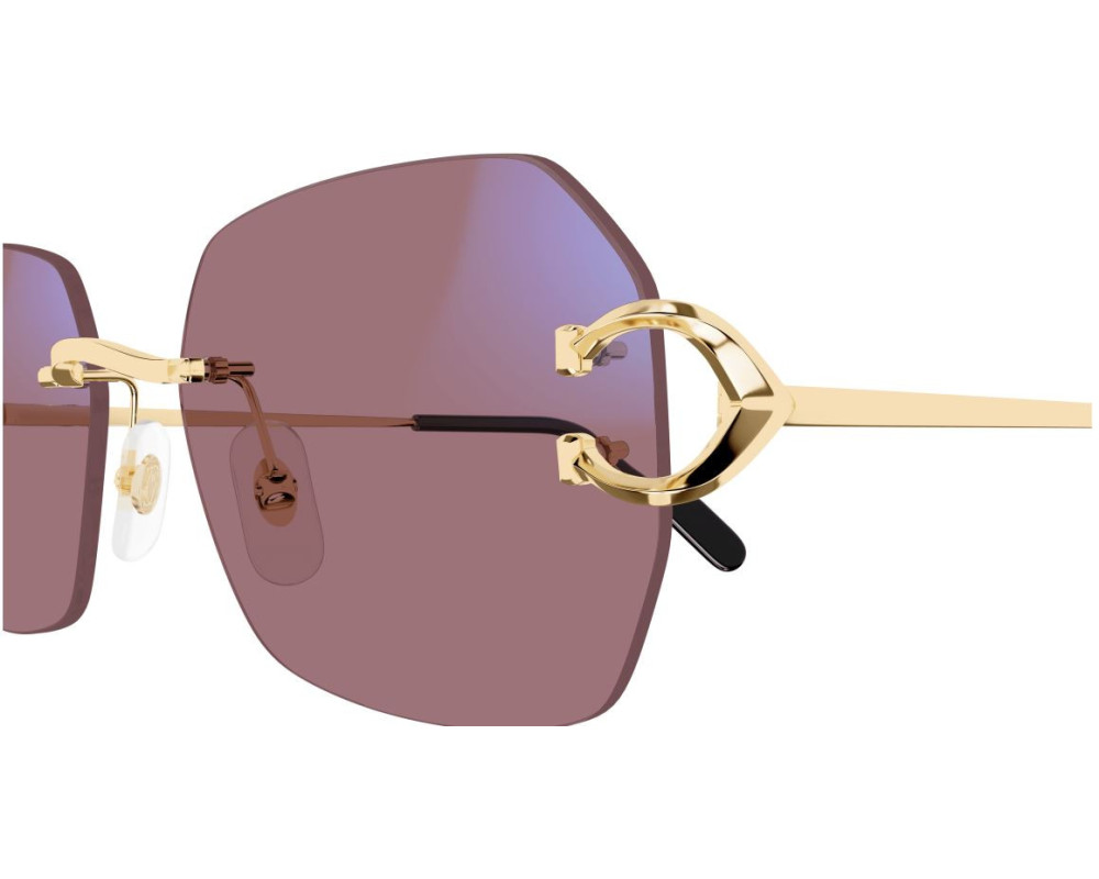 Cartier Piccadilly CT0416S Zonnebril - Fototrope glazen