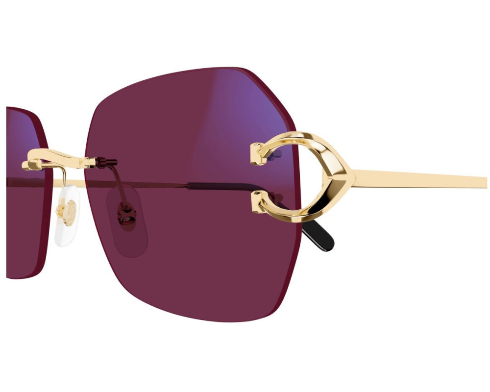 Lunettes de Soleil Cartier Piccadilly CT0416S – Verres Photochromiques