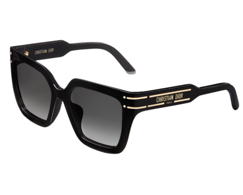 Lunettes de Soleil DIOR DiorSignature S10F