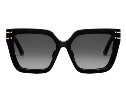 Zonnebril DIOR DiorSignatureS10F