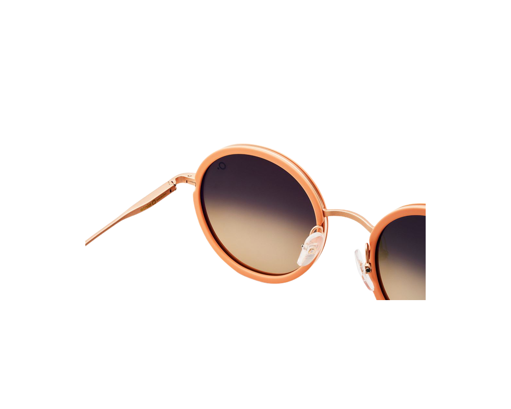 Lunettes de Soleil Etnia Barcelona Almagro 21