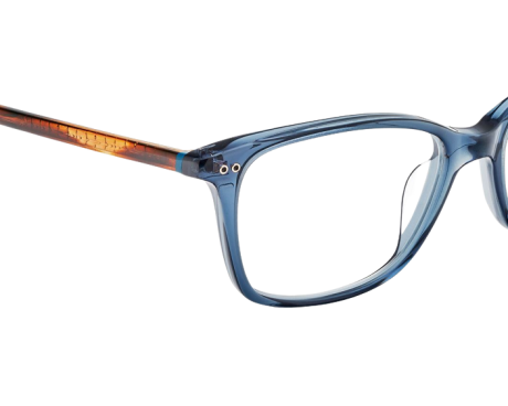 141287-Lunettes de vue Etnia Barcelona Roses