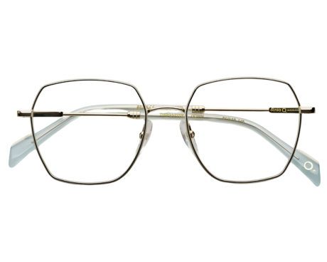 141525-Lunettes de vue Etnia Barcelona Tiergarten