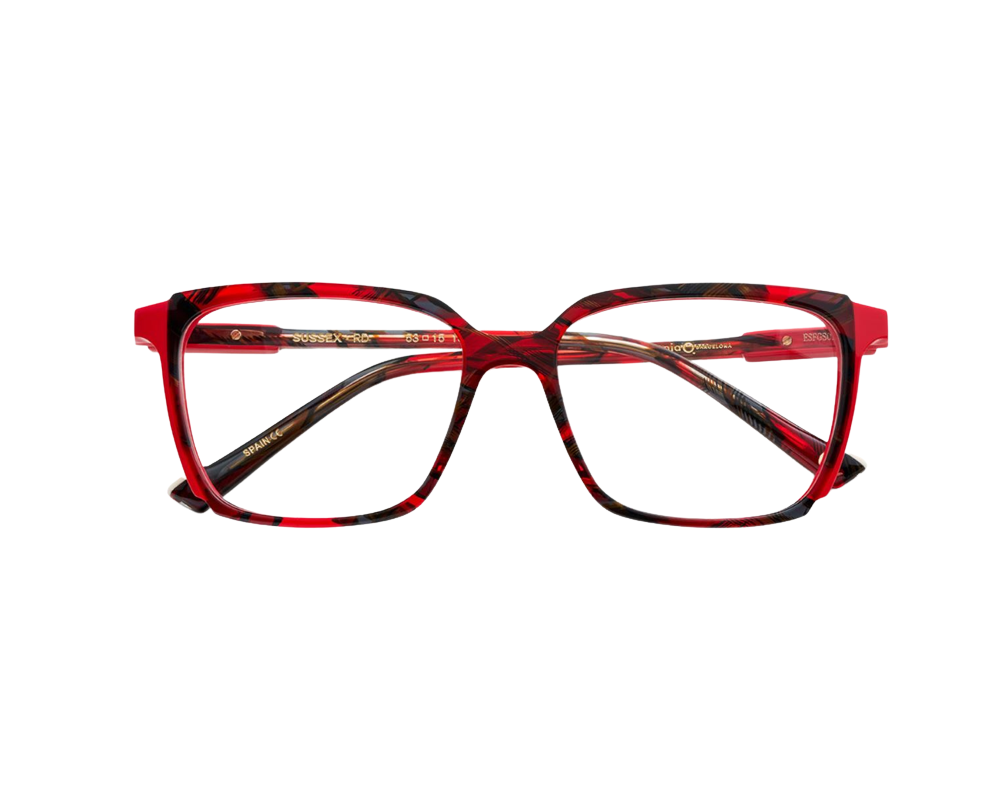 Eyeglasses Etnia Barcelona Sussex