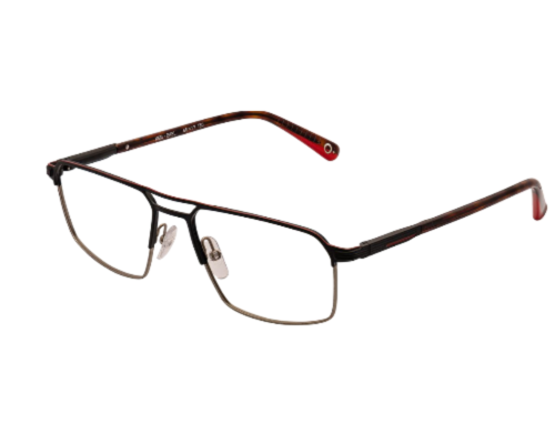 Eyeglasses Etnia Barcelona Kem