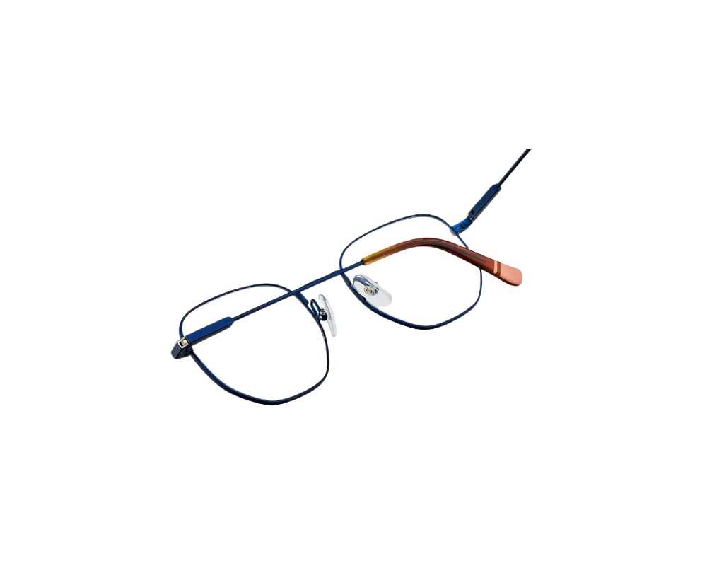 Lunettes de vue Etnia Barcelona Buchanan ST